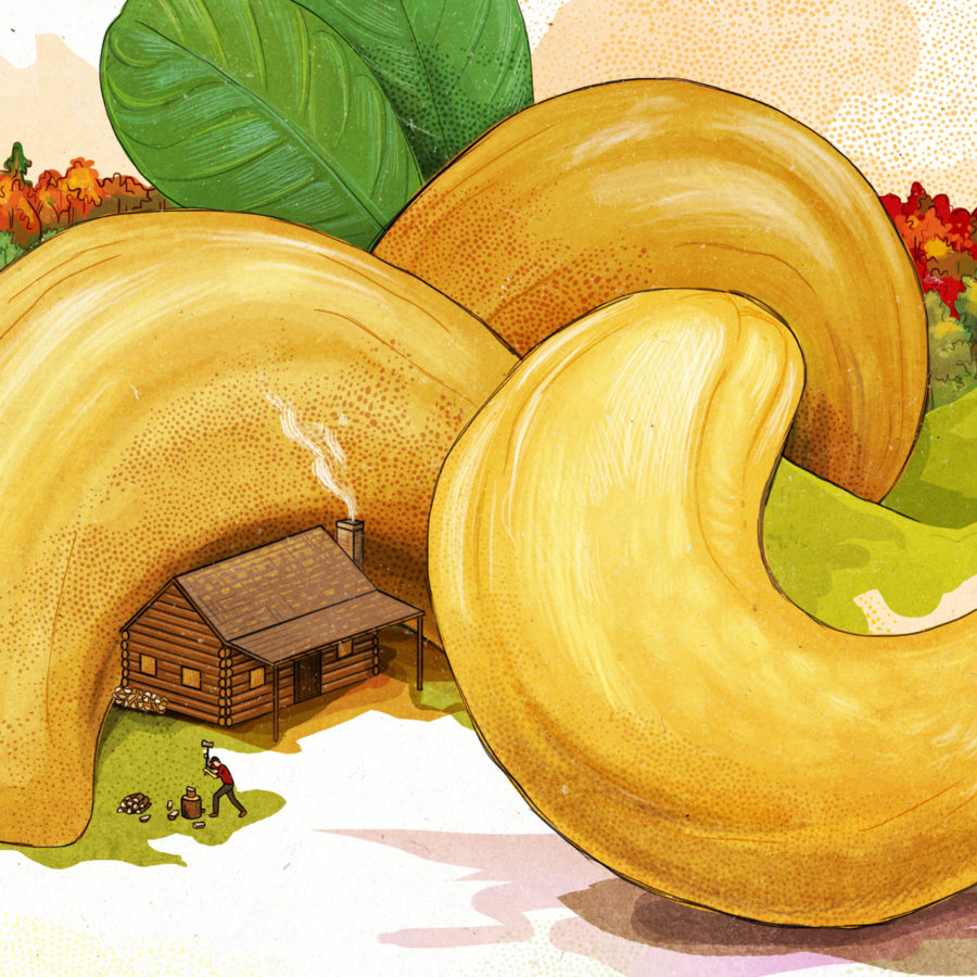 Allgood Provisions Packaging Design from Moxie Sozo Moxie Sozo